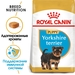 Royal Canin Junior Yorkshire Terrier Сухой корм для щенков породы Йоркширский терьер – интернет-магазин Ле’Муррр