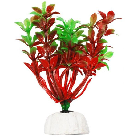 УЮТ Растение аквариумное Гемиантус красно-зеленый – интернет-магазин Ле’Муррр